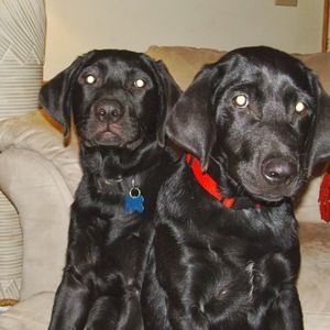 Meet your Posher, Jamie